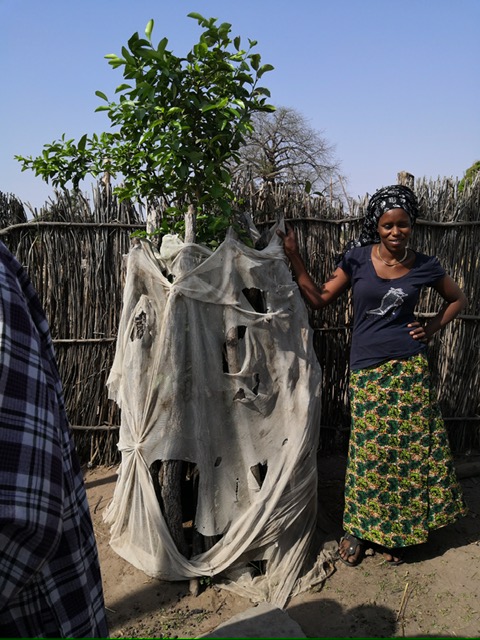 Femme à côté arbre